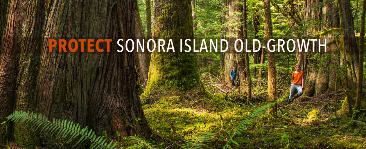 Sonora Island Old-Growth 